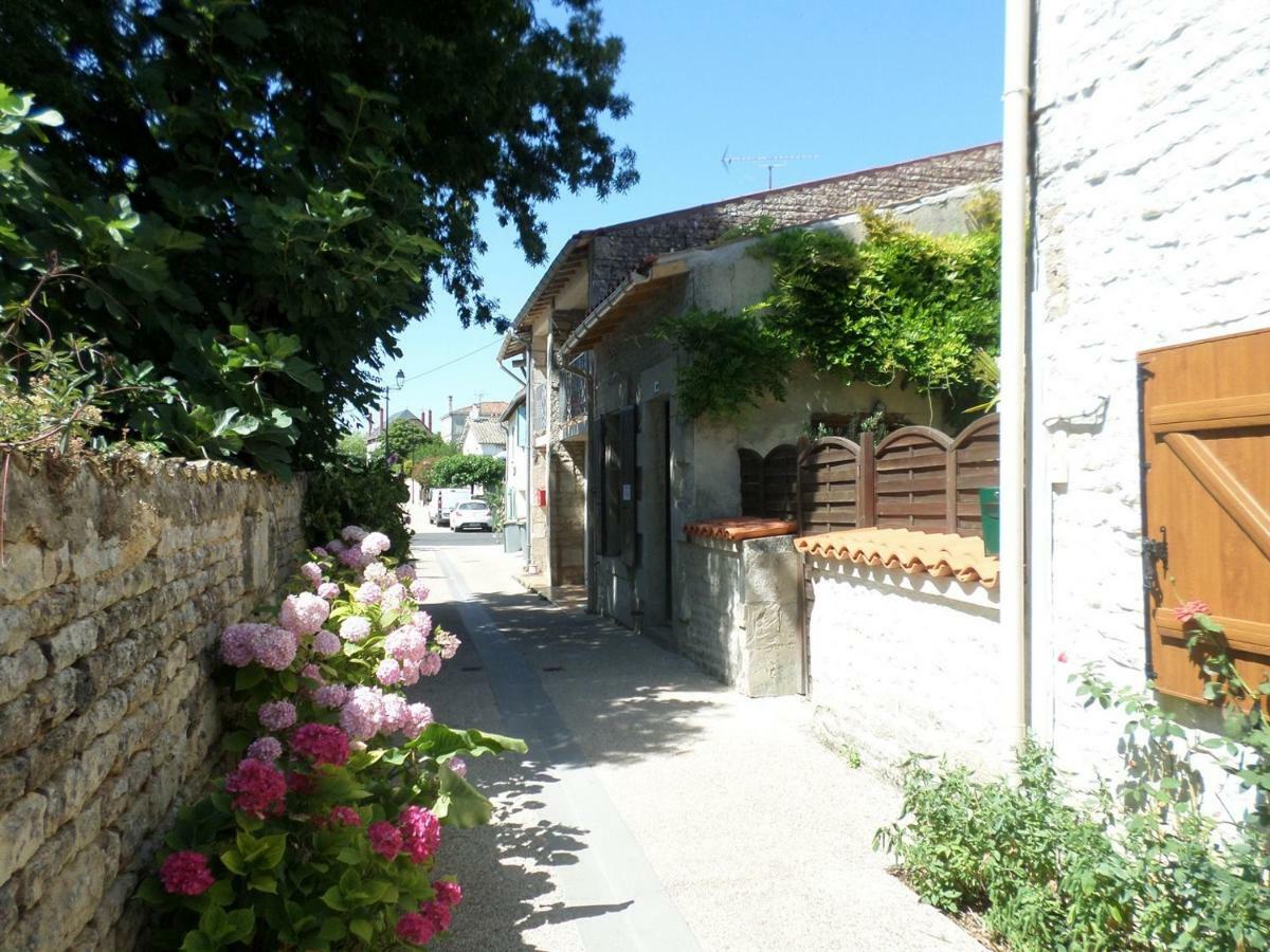 La Libellule * Coulon